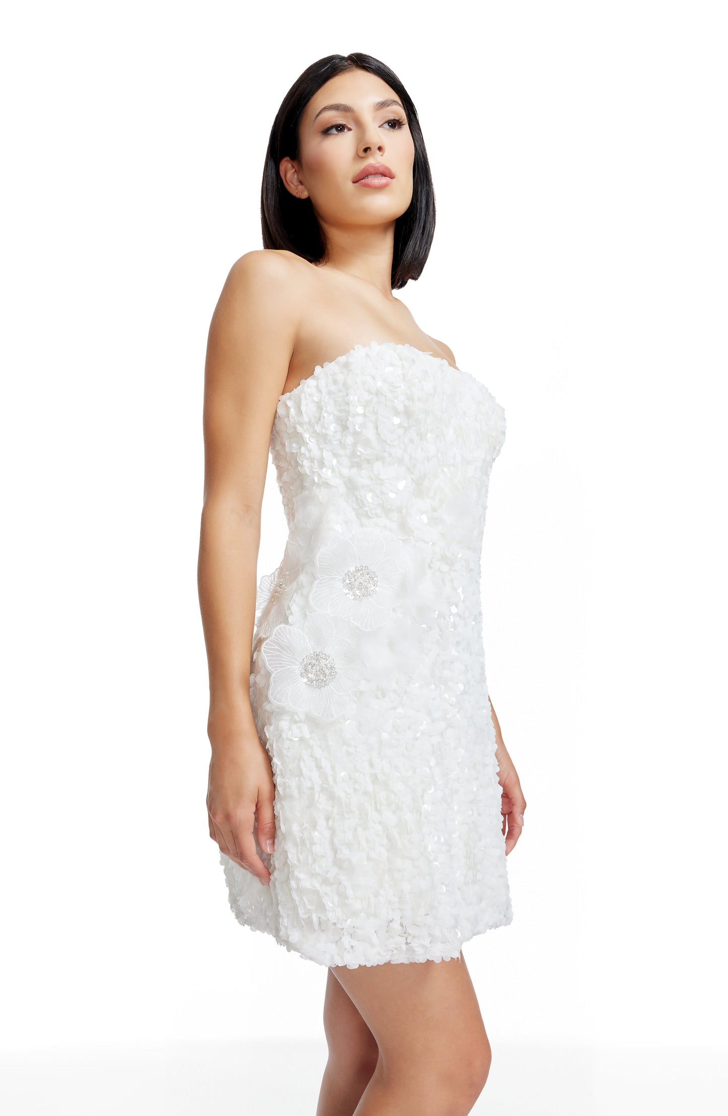 Sasha Dress